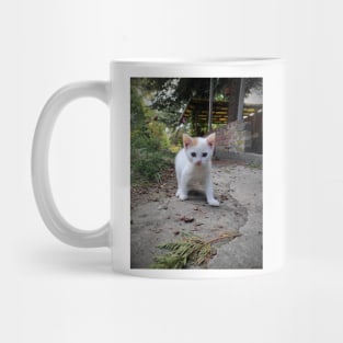 Little cat Jonny Mug